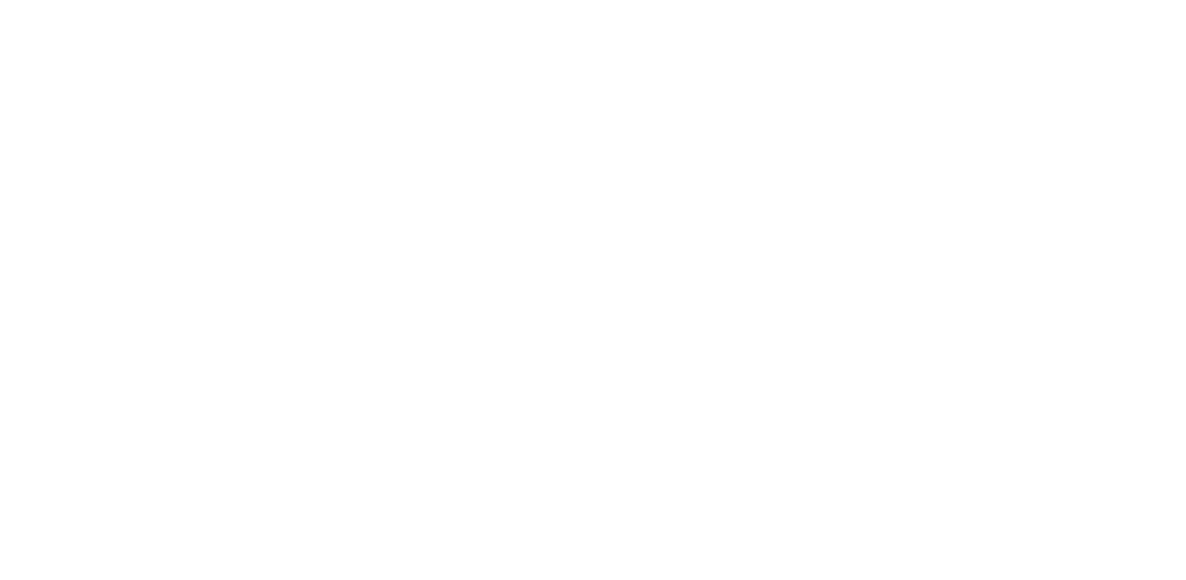 NURA logo, a serif font